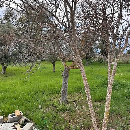 Nafplio Garden House