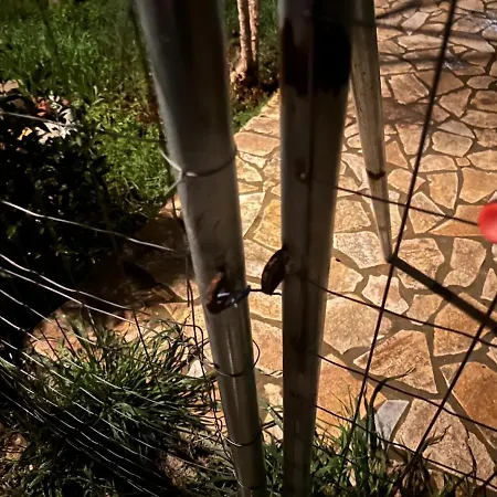 Nafplio Garden House Casa vacanze