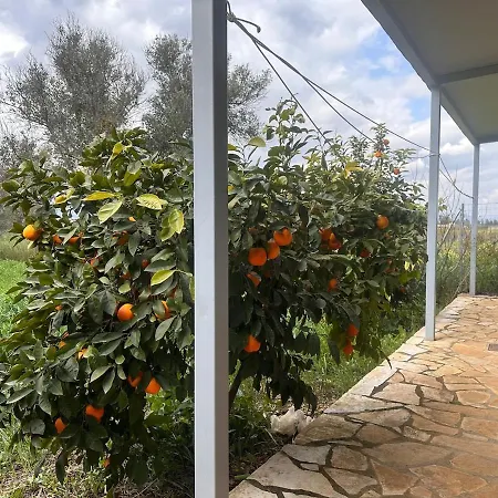 Nafplio Garden House Casa vacanze *